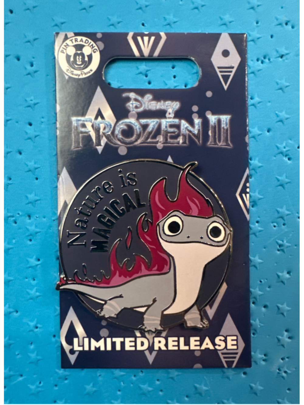 Disney Pin Frozen 2 Bruno "Nature is Magical" Limited Release